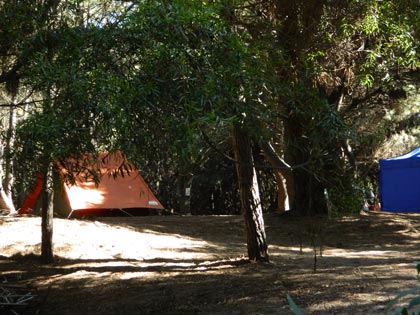 Camping Municipal. Balneario de San Cayetano